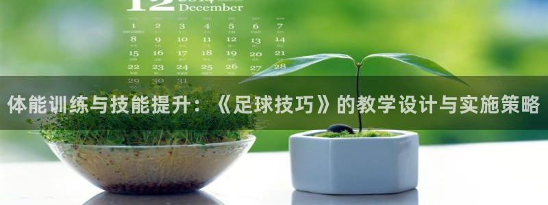 海南3377体育官网下载发展怎么样:体能训练与技能提升:《足