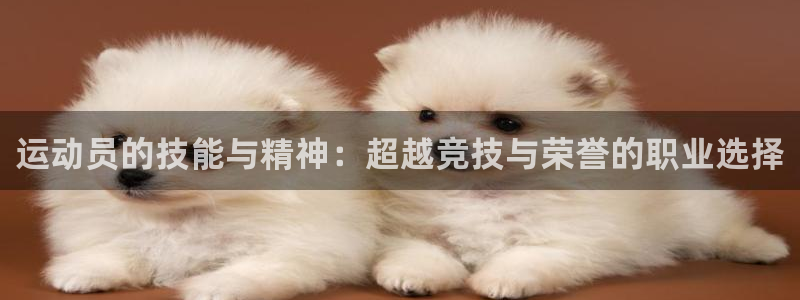 3377体育官方正版app集团官网首页网址:运动员的技能与精