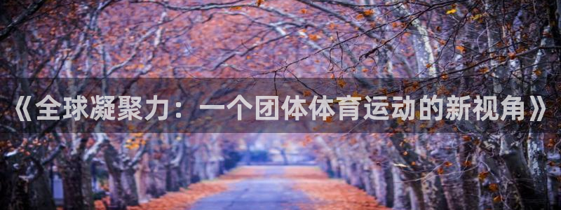 3377体育官方正版app娱乐:《全球凝聚力:一个团体体育运